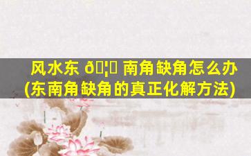 风水东 🦍 南角缺角怎么办(东南角缺角的真正化解方法)